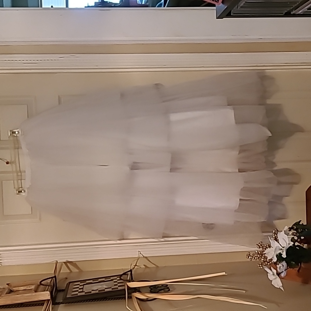 NWOT full length 3 Layer Hoopless Pedicoat